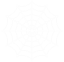 Spider web