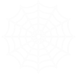 Spider web